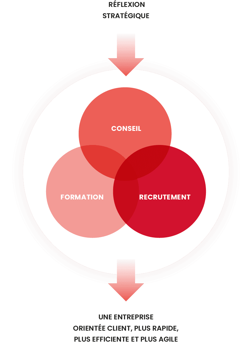 Formation Lean, Conseil et Recrutement