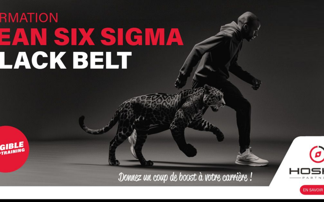 Formation Black Belt Lean Six Sigma