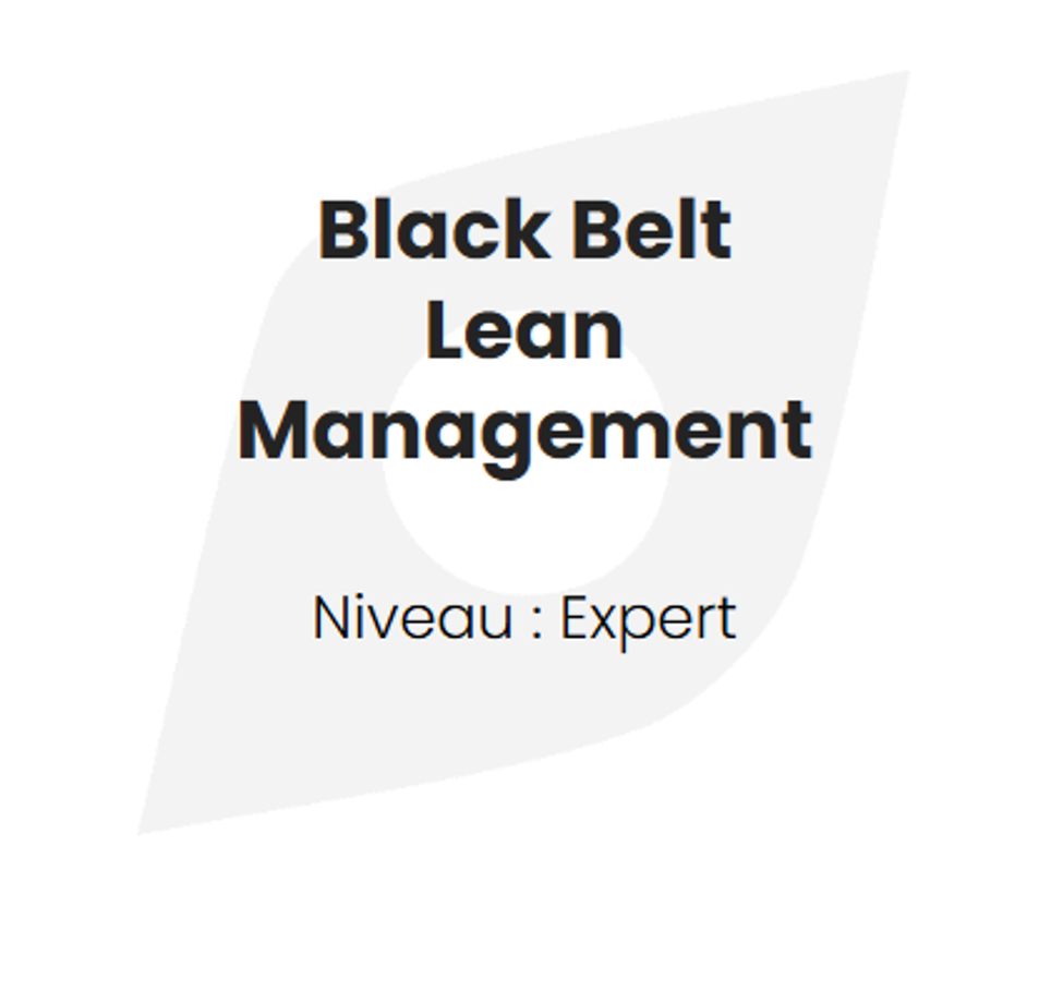 Formation Lean : Black Belt