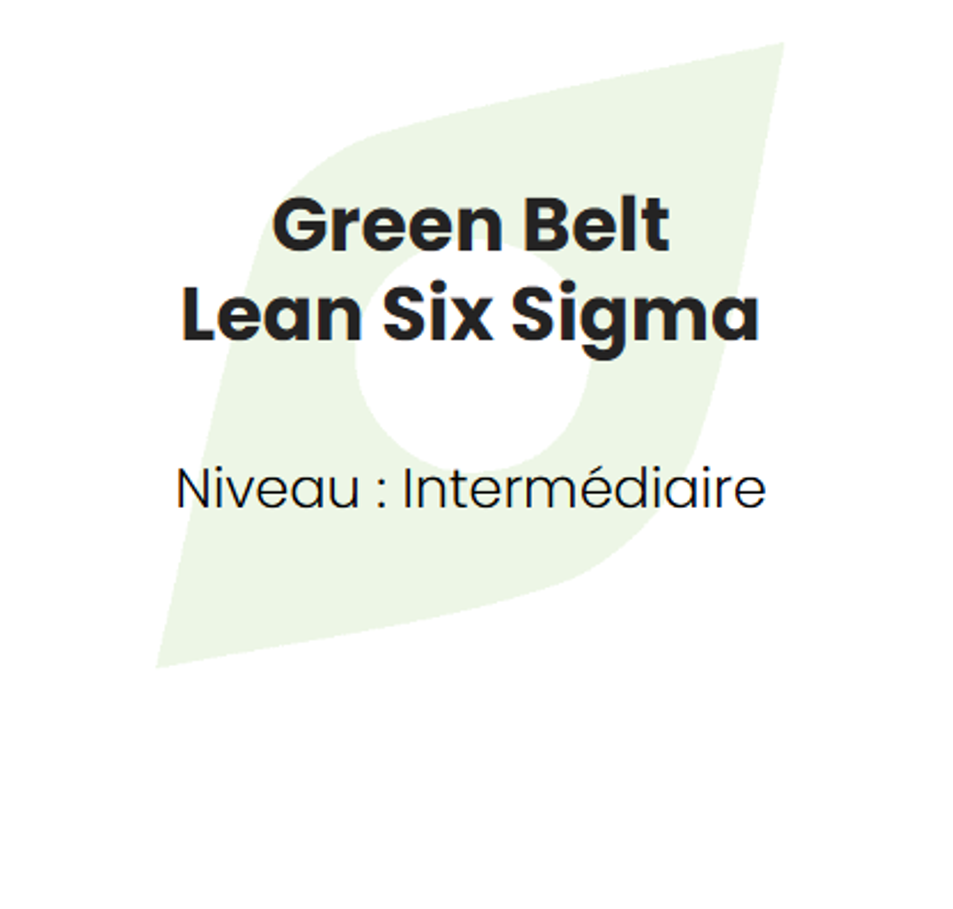 Formation Lean Six Sigma : Green Belt