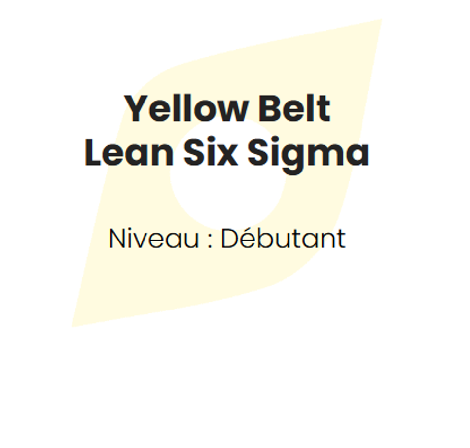 Formation Lean Six Sigma : Yellow Belt